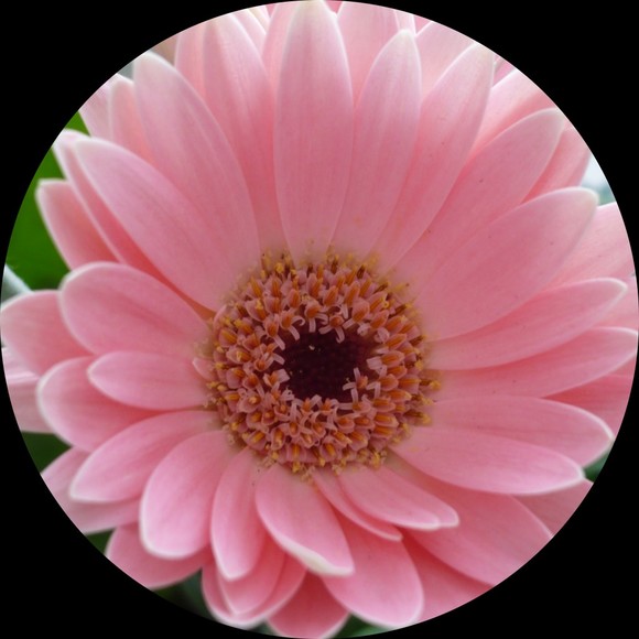 prettynpink68